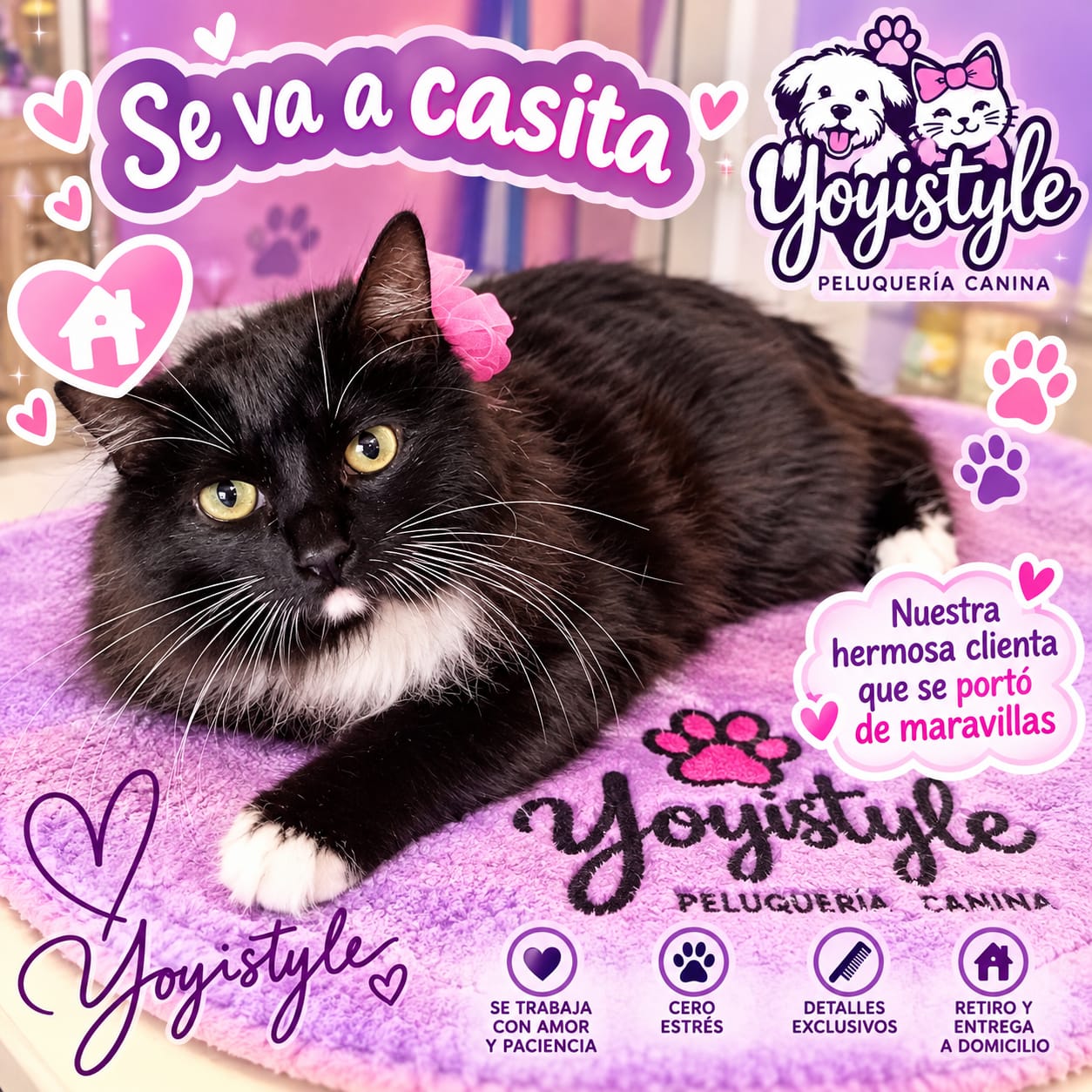 Yoyistyle peluquería canina